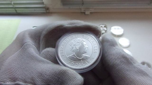 Пополнение коллекции в 2022 г.