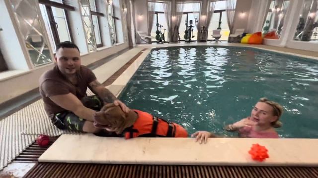 Как научить собаку плавать? Тренировка по плаванию Сэма ? Очень ценные советы от Олега!) смотреть онлайн