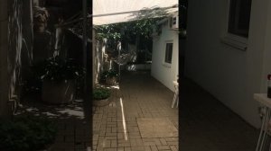 Гостевой дом Привет Сатера. Поселок Сатера Южный берег Крыма. Экскурсия по южному дворику.