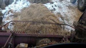Измельчаем сено на сенобазе,УЭС-2-250А и МТЗ 922+ПСТ9
