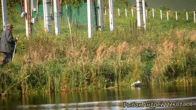 Отдых у пруда. Ликино и Щедрино. Рыбак Андрей Николаев. Рыбалка спиннингом. Летняя мормышка.