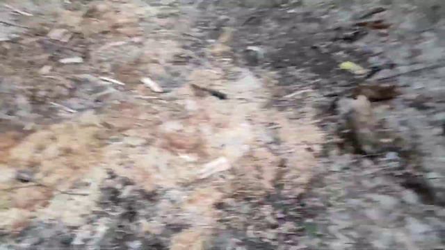 Корсар 16 - самые мощные петарды смотреть онлайн