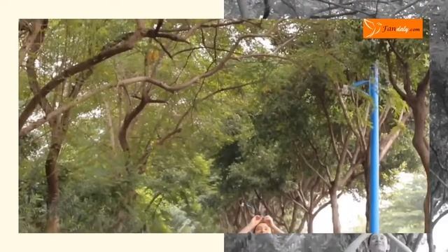 Mini Camera SQ11 HD Camcorder HD Night Vision 1080P Sports Mini DV Video Recorder смотреть онлайн