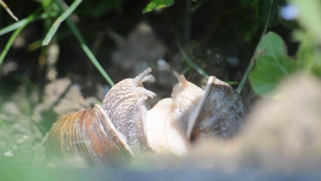 Nikon d90, Test ,foto,video. смотреть онлайн