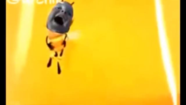 хлопья повар спрашивает повара смотреть онлайн