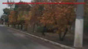 Торецк (Дзержинск) Донецкая область | Хроника города на линии боевого соприкосновения | 2023 год