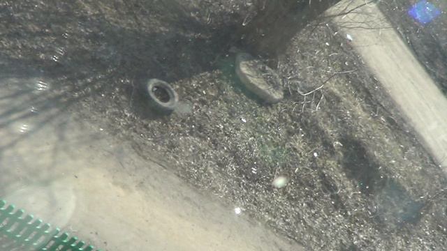 M2U01789 смотреть онлайн