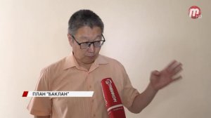 Баклан вновь вернулся и оккупировал Байкал