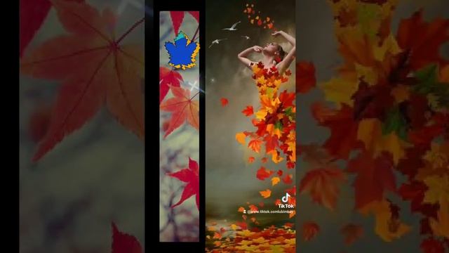 18 СЕНТЯБРЯ -ВСЕМИРНЫЙ ДЕНЬ КЛЕНОВОГО ЛИСТА ... НАСЛАЖДАЙТЕСЬ ! ... прекраснойсубботы???