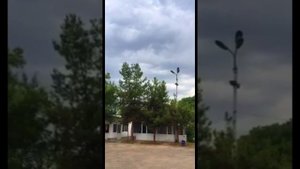 Голуби!Турецкая Такла,молодняк 2022г, от Саидорифа Узбекистан город Ташкент, tauben pigeons ???❗❗❗