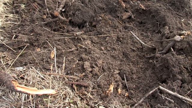 Новый участок / Что делать? смотреть онлайн