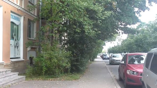 Город Пушкин. Московская улица