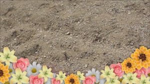 Удивительный памятник на реке Синара