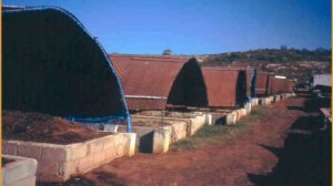 Технология вермикомпостирования.wmv