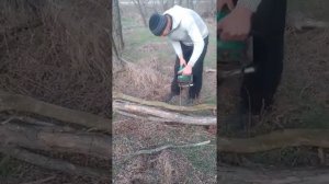 Можно ли собирать валежник? 2 часть