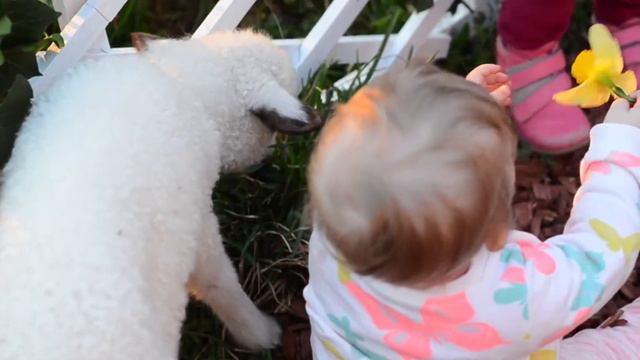 Behind the scenes. Mini sesiune foto de Pasti. :) смотреть онлайн