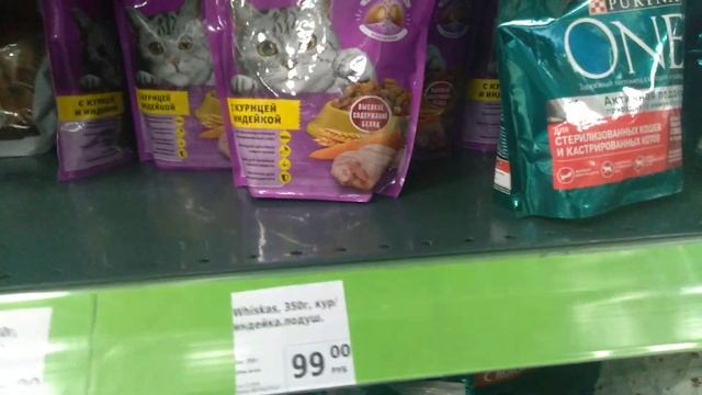 корм для кошек