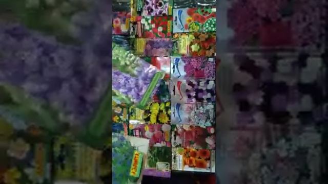Что такое стратификация, способы и применение для различных растений.