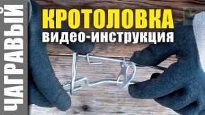 СЕКРЕТЫ КРОТОЛОВКИ усиленной