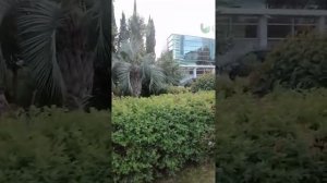 Адлер прогуляю вас от улицы Ленина до ул.Чкалова 70Б в сторону Кудепсты