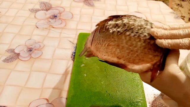 Очень вкусная жаренная рыба! По супер? рецепту!? #жаренаярыба