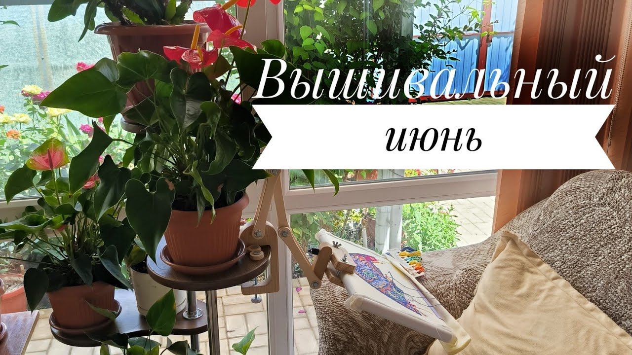 10/2024. Июнь влог. Новое поколение вышивальщиц в семье, старт, продвижения, покупки смотреть онлайн