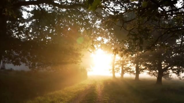 Вы деньки мои... смотреть онлайн