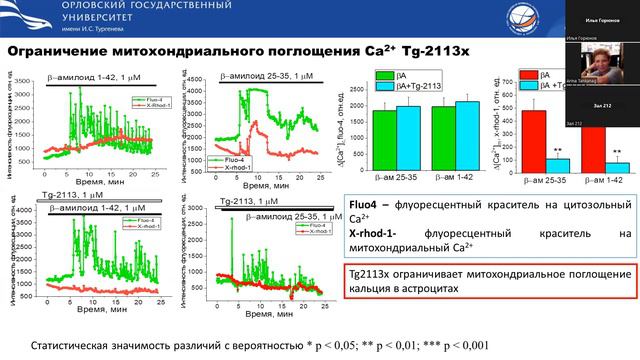 Стельмащук О.А. Поиск потенциальных нейропротекторных направлений от β-амилоидной нейротоксичности смотреть онлайн