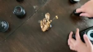 Обзор советских объективов Helios 44-2 и Pentacon 50mm. На что я снимаю и как это делаю.