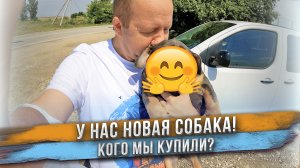 Люди видят свою собаку впервые в жизни! У нас новая собака! Кто это?