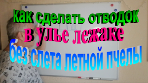 Как сделать отводок в улье лежаке без слета летной пчелы на своей пасеке