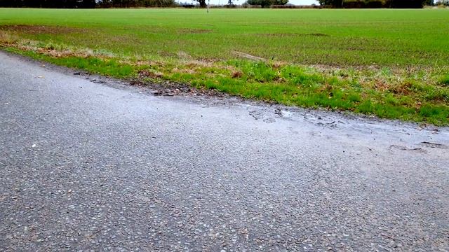 Ford Grand C-Max - 2.0 TDCi Titanium Powershift 5dr - YG61XZR смотреть онлайн