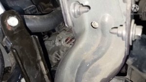 Шкив генератора обгонная муфта Сценик 3