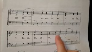 По просьбе подписчицы, Задостойник Рождества Богородицы.Ковальджи.
