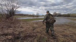 Открытие весенней охоты 2021. Работа подсадной утки на ура!