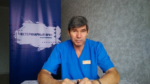 Заболевания мочевыделительной системы.