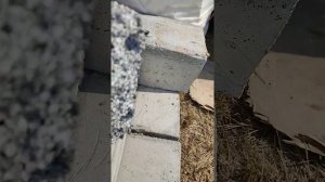 первые блоки полистерол бетона.  спустя пять месяцев.