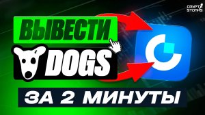 Как вывести DOGS на биржу Gate.io - Пошаговая инструкция