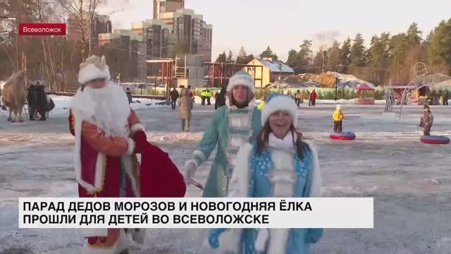 Парад Дедов Морозов прошел во Всеволожске
