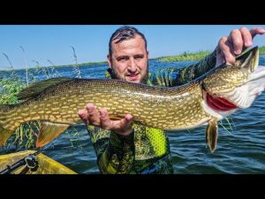 САЗАНЫ и ЩУКИ в сказочном прозраке Аграханского залива - Подводная охота а камышах | Дагестан