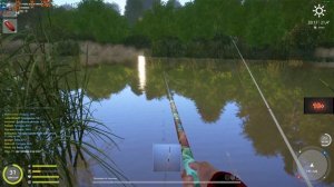 рр4 ,вьюнок .фарм на мах)