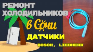 Холодильник Bosch, Siemens, Liebherr. Датчики.