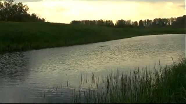 СИБИРСКАЯ РЫБАЛКА | ЩУКА НА ПОППЕР смотреть онлайн