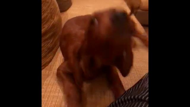 2022-10-30 смотреть онлайн