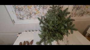 КОМПОЗИЦИЯ ИЗ ЕЛОВЫХ ВЕТОК В ВАЗЕ / НОВОГОДНЯЯ КОМПОЗИЦИЯ ИЗ НОБИЛИСА / DIY CHRISTMAS DECOR