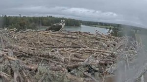 Как распознать признаки обострения психического расстройства