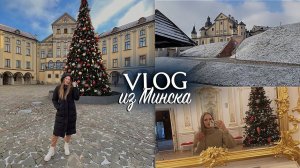 ВЛОГ: МИНСК ЗА 1 ДЕНЬ  Несвижкий замок зимой  Самый вкусный ресторан