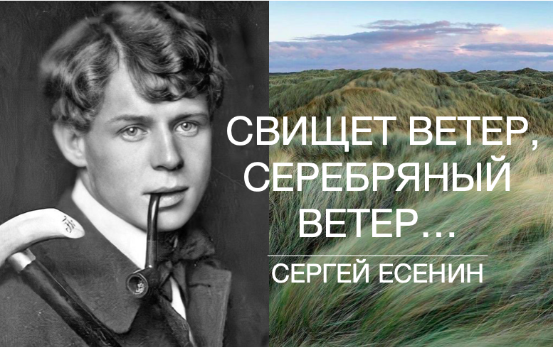 Песня аэропорт гостомель ветер свищет в поле. Свищет ветер Есенин. Есенин серебрянный ветер. Есенин ветер. Ветер ветер Есенин.