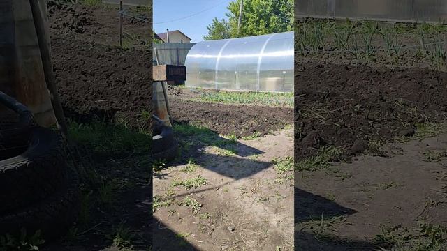 МОТОБЛОК ,, НЕВА ,, ОБЗОР ! ПЕРЕКОПКА ДАЧНОГО УЧАСТКА, НА ГЛУБИНУ 50 см. смотреть онлайн