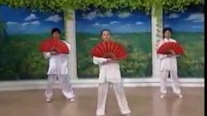 Веер кунгфу. 52 форма.flv